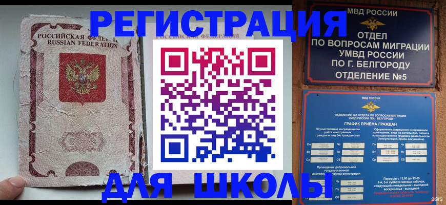 прописка гарантия в Чкаловске